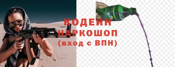 бошки Бородино