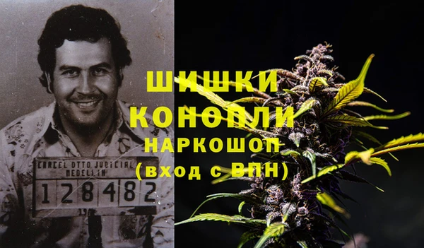 бошки Бородино