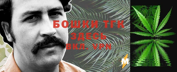 бошки Бородино