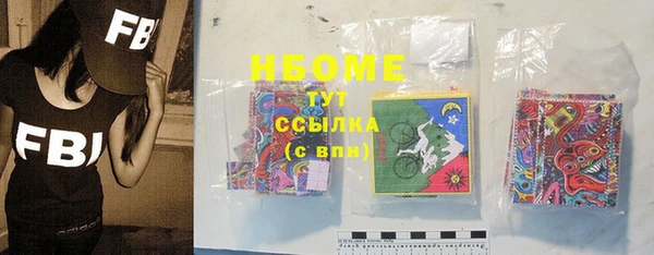 бошки Бородино