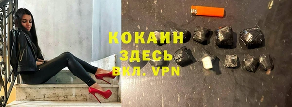 бошки Бородино